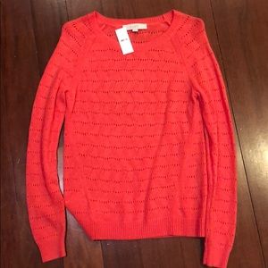Salmon Loft Sweater